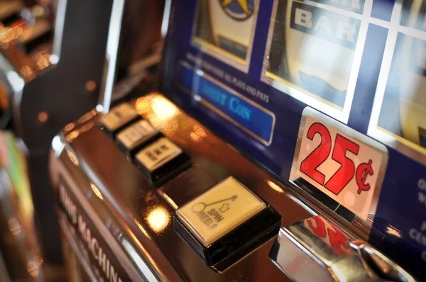 toto313 situs Live Casino Tables Built for Your Lobby