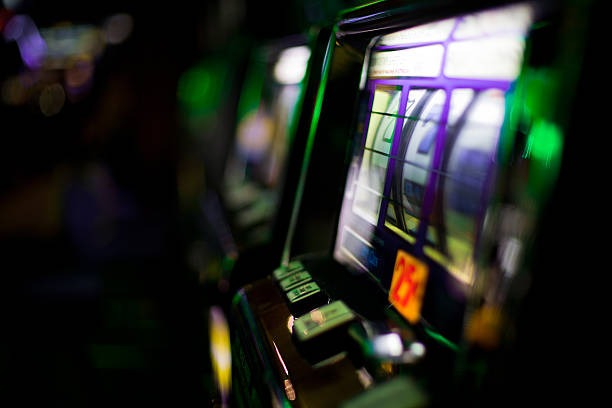 toto313 situs What's Inside Our Live Casino